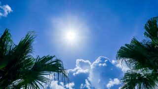 Bright sun in a clear blue sky with fluffy white clouds, framed by palm fronds on the sides.